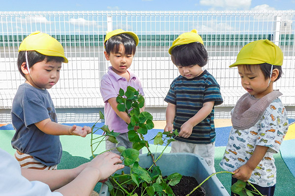 広島市認可保育園MIEイメージ