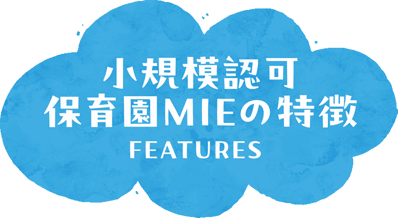 小規模認可保育園MIEの特徴
