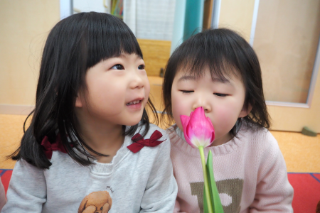 P1230154.png